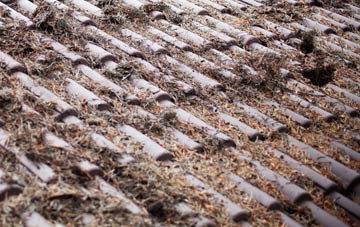 Lamlash roof cleaning companies